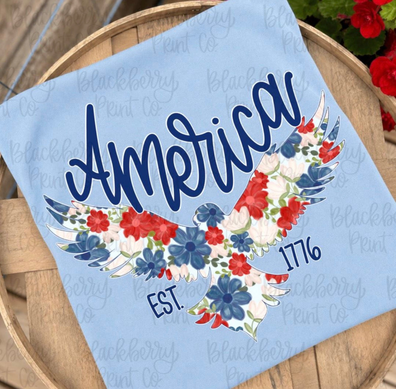 AMERICA